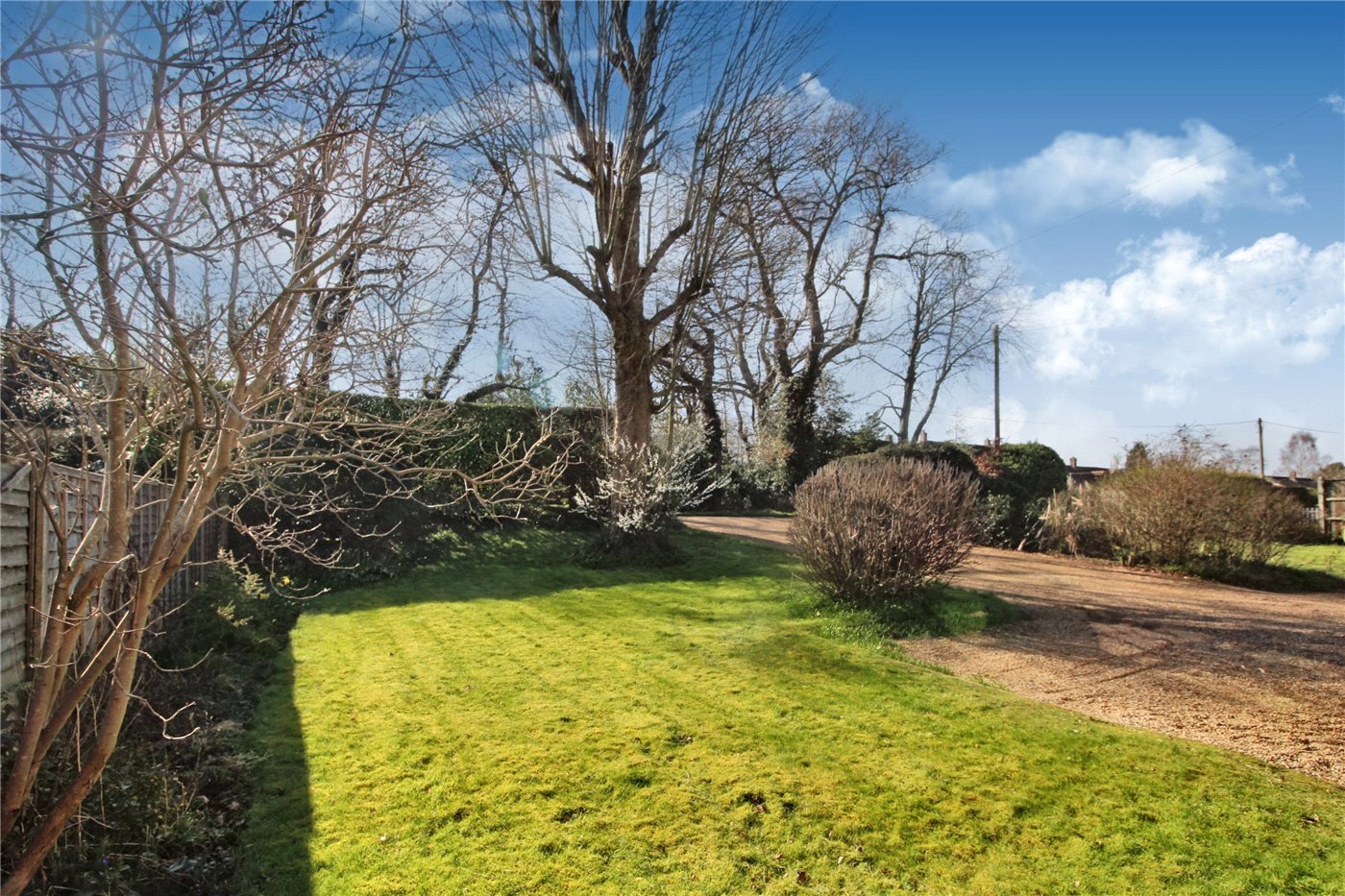 Driveway